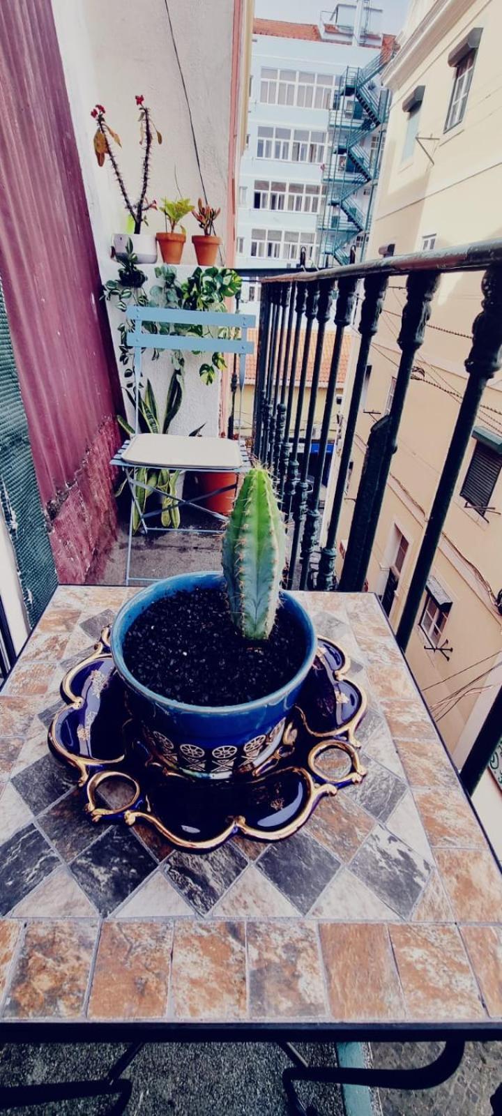 Charming Central Apartment To Rent Lisboa Exteriör bild