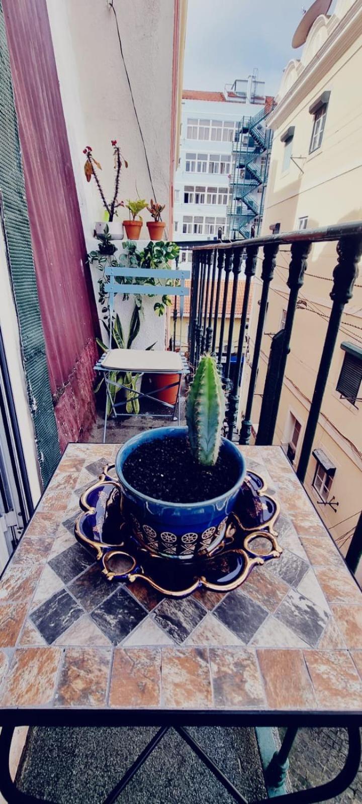 Charming Central Apartment To Rent Lisboa Exteriör bild